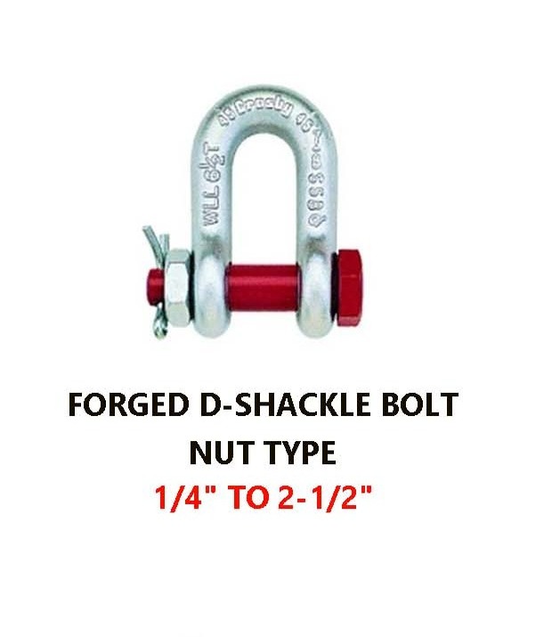 Forged D-Shackle Bolt Nut Type