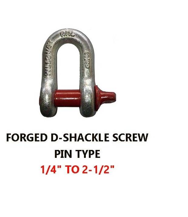 Forged D-Shackle Screw Pin Type