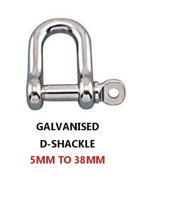 Galvanised D-Shackle